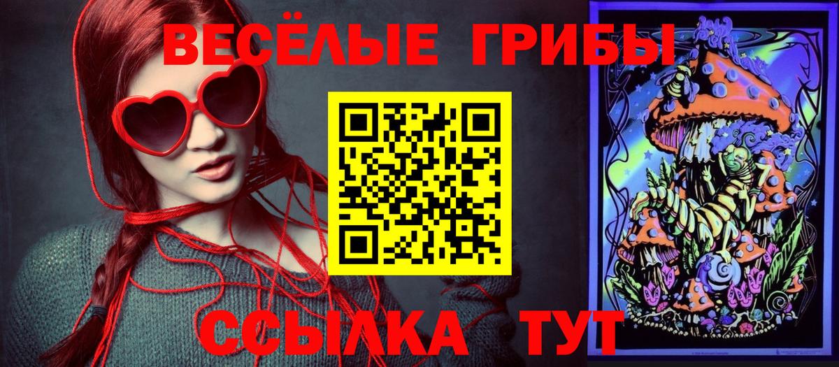 Псилоцибиновые грибы Psilocybine cubensis  Псилоцибиновые грибы Cubensis  Вход с VPN  Казань 